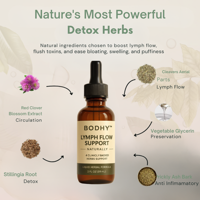 Lymphatic Drainage Support